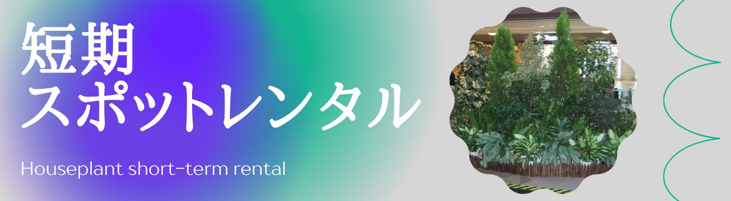短期スポットレンタル 短期スポットレンタル
