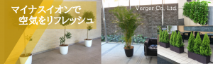 観葉植物レンタル