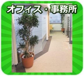 観葉植物オフィス