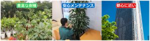 観葉植物レンタル