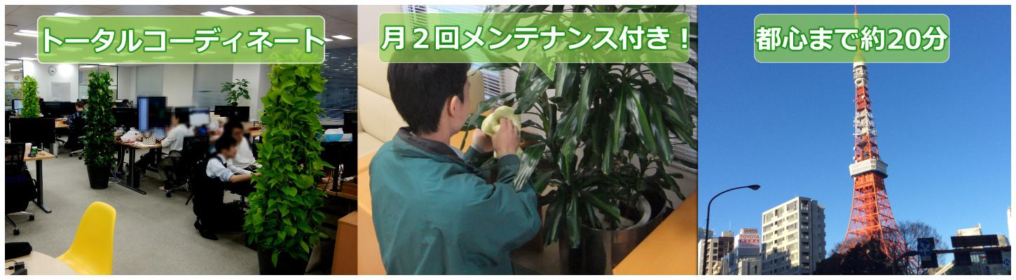 観葉植物レンタル