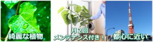 植物レンタル