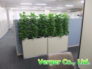 観葉植物目隠し