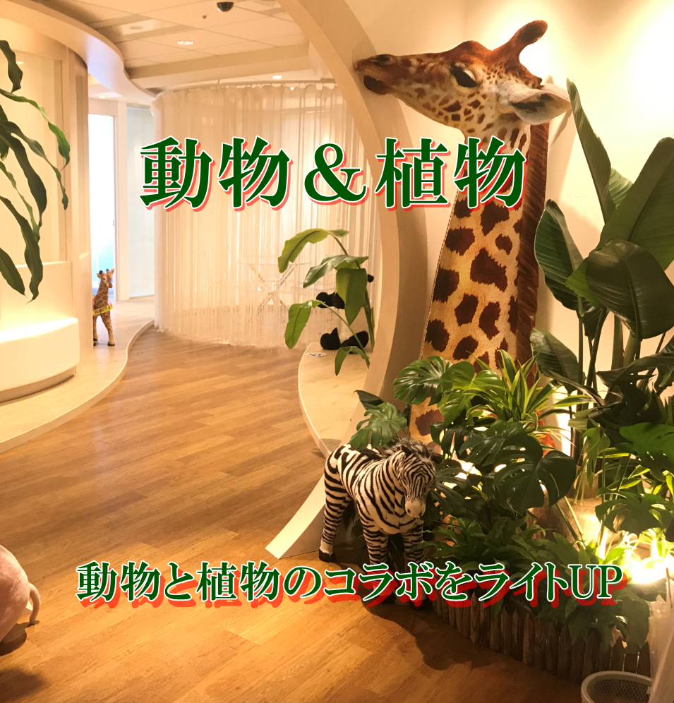 観葉植物と動物