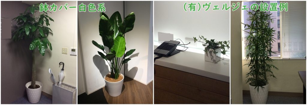 オフィスの観葉植物レンタル設置例白色系鉢カバー