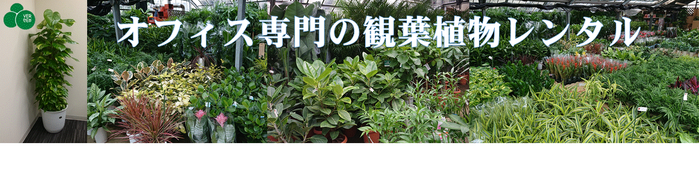 会社概要㈲ヴェルジェ