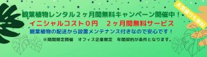 観葉植物レンタルキャンペーン