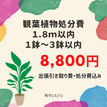 観葉植物の処分費