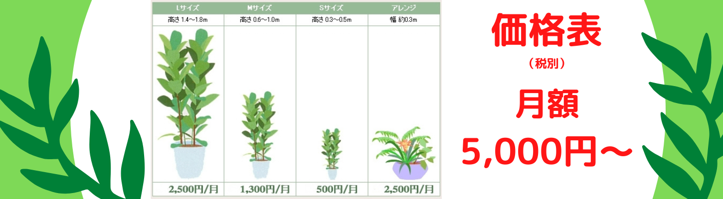 観葉植物レンタル月額価格表
