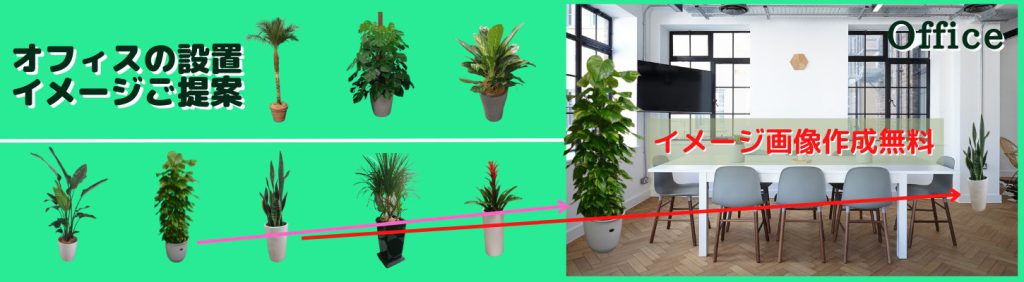 オフィスの観葉植物のレイアウト設置イメージ画像