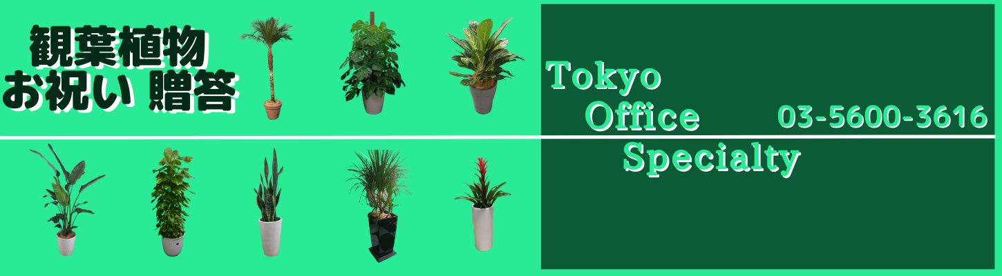オフィス向けの観葉植物13,200円～
