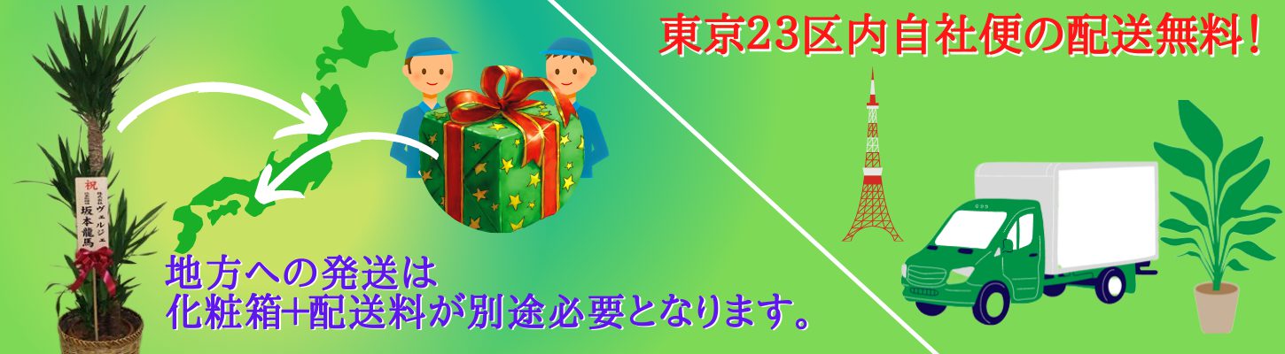 観葉植物の配達都心部は無料です