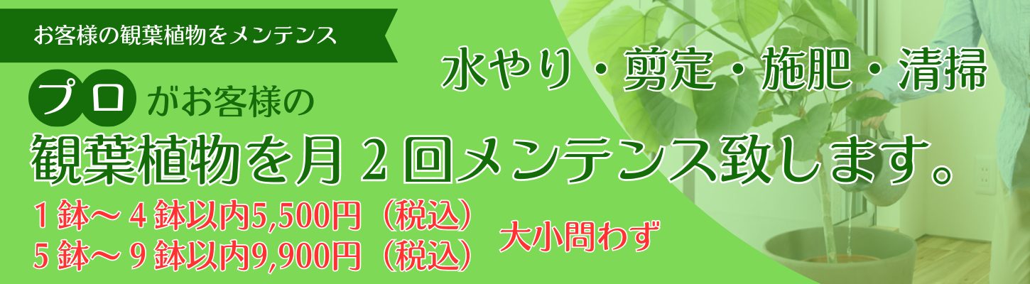 スライダー