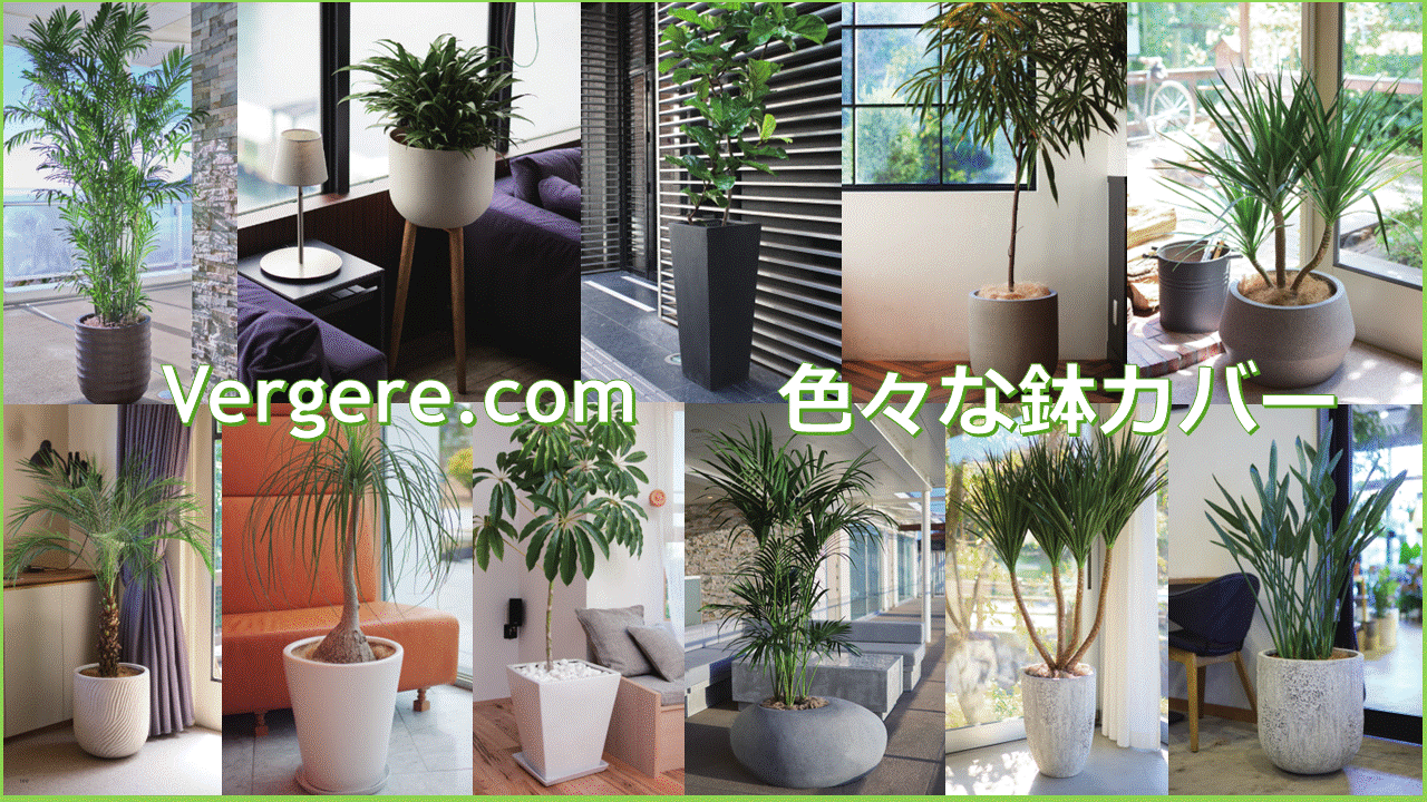 観葉植物鉢カバー/オフィス用 | 観葉植物レンタルとグリーンレンタルの