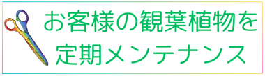 レンタル価格表、ウォールグリーン、観葉植物と胡蝶蘭処分