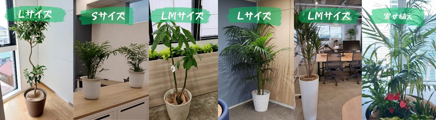 観葉植物レンタルサブスクリプションのシステム