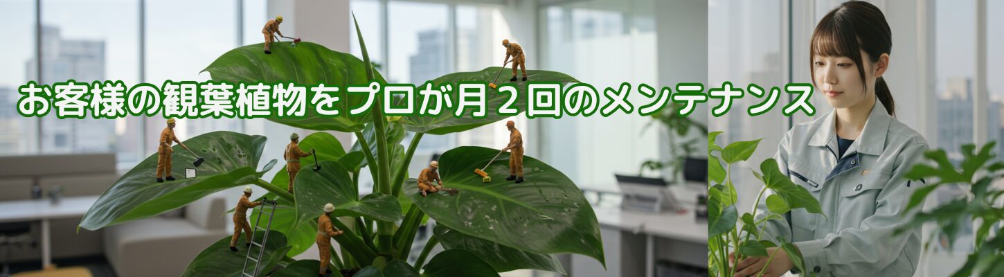 スライダー