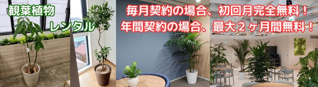 観葉植物レンタル