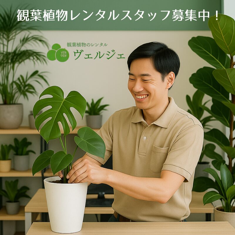 観葉植物レンタルスタッフ募集