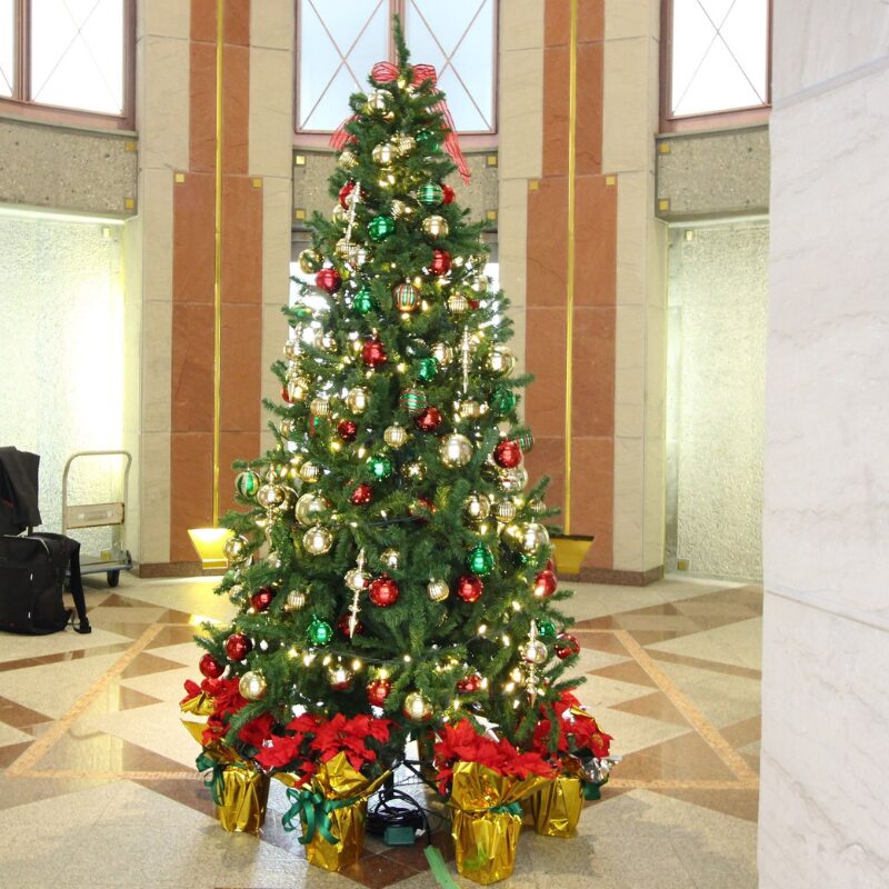 クリスマスツリーとポインセチア