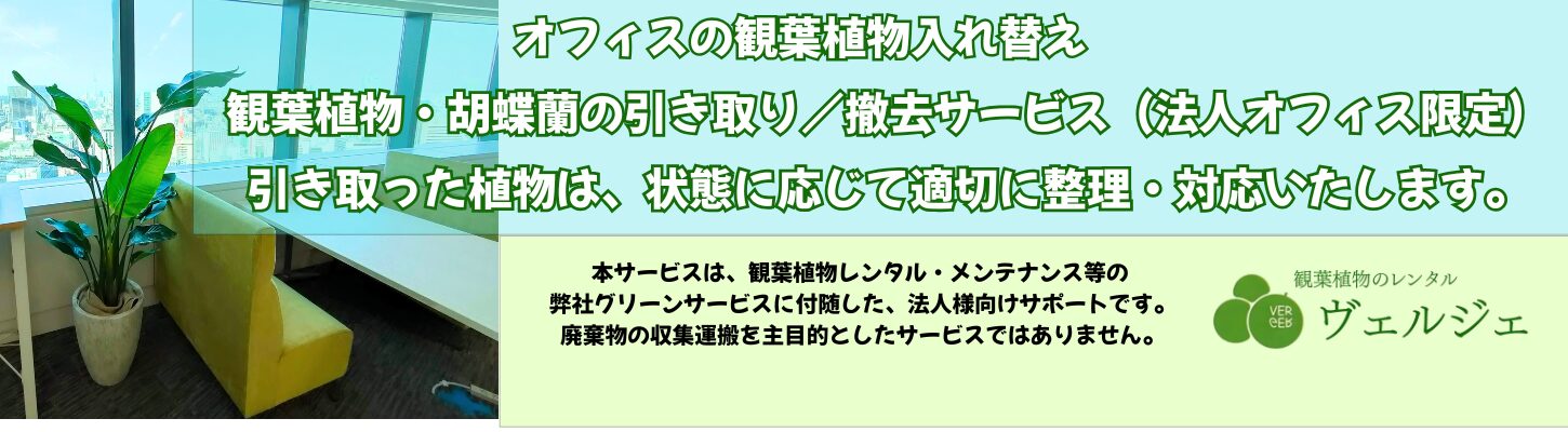 胡蝶蘭処分・観葉植物廃棄・引き取り・回収・東京・エレベーターのあるオフィス限定無料引き取り