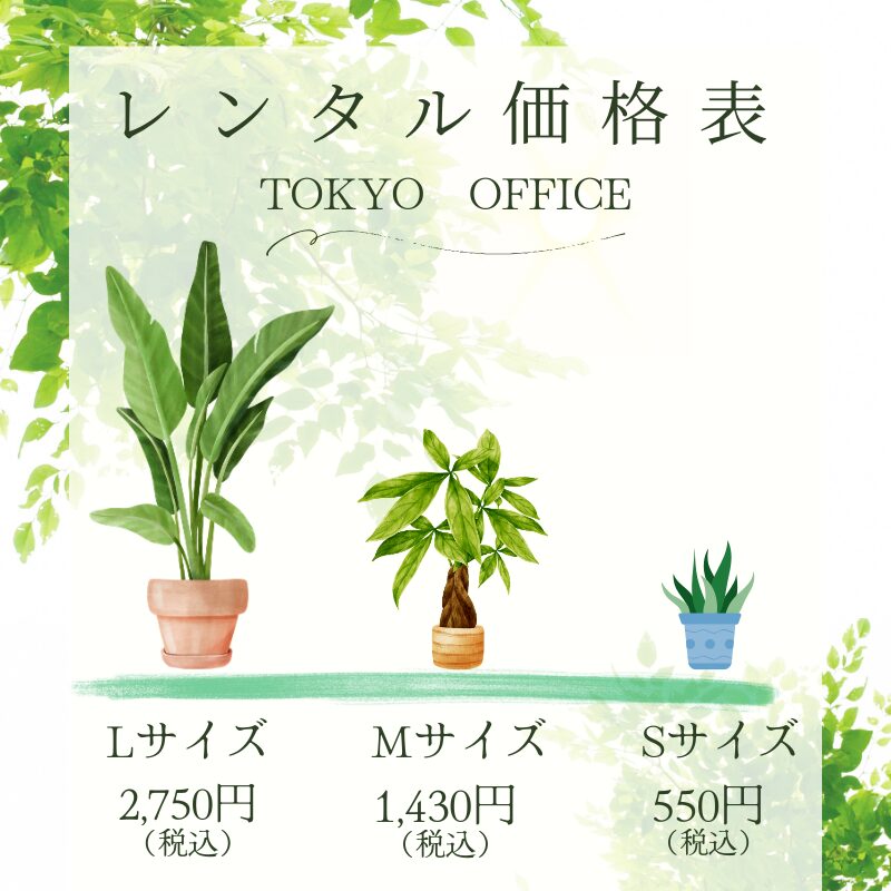 東京オフィス専門の観葉植物レンタル